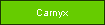 Carnyx